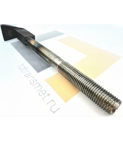 bolt_lapchatyi_m22x350